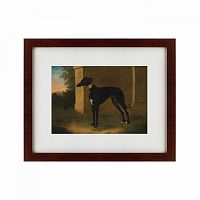 картина: portrait of a greyhound called pompon, 1746 в Перми
