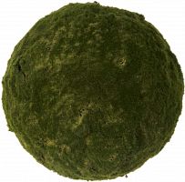 декор moss sun в Перми