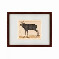 картина: moose, 1560 в Перми