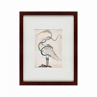 картина: heron encircled by a snake, 1700 в Перми