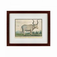 картина: cape ox, 1778 в Перми