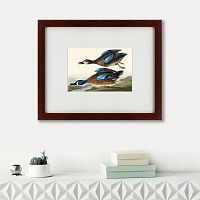 картина: blue-winged teal, 1836 в Перми