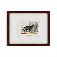 картина: a caracal or lynx, 1830 в Перми