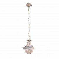 уличный подвесной светильник arte lamp amsterdam a1523so-1wg в Перми