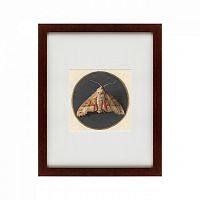 картина: owlet moth, 1700 в Перми